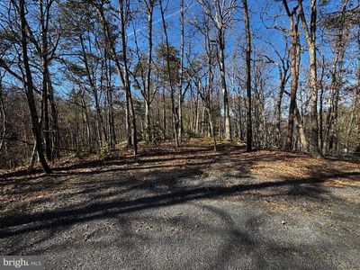 Ewells Ridge Rd, Basye, VA, 22810