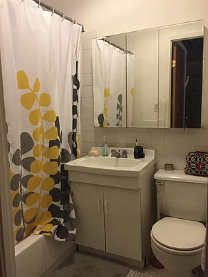 Rented by Alpha Properties NYC I LLC | media 47