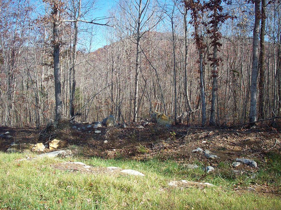 2nd image of Bobcat Ln