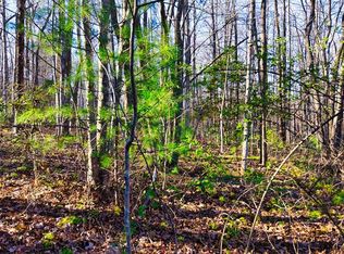 Ervin Brown Rd, Sunbright, TN 37872