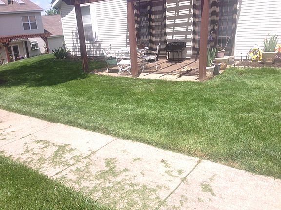 Patio - lawn care included in rent.
