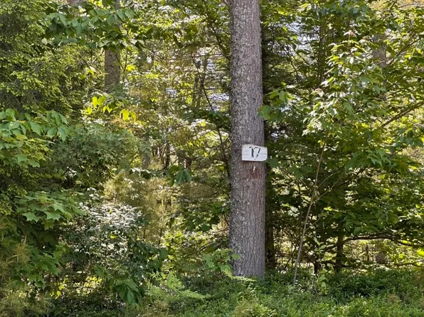 00 Benjamin Wentworth Drive #17, Tamworth, NH 03817