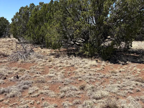 20 SE 8715th Hwy, Concho, AZ 85924
