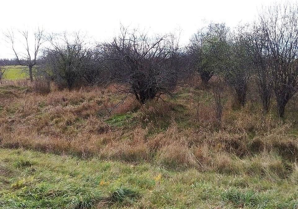 2nd image of 23179 Timmerman Rd