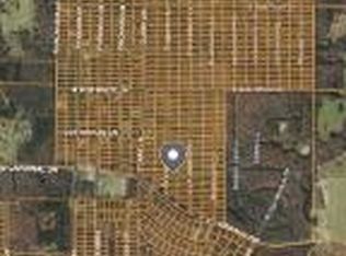 1100 Grapevine Ln, Horseshoe Bend, AR 72512