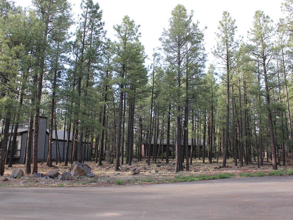 2nd image of 2649 Black Bear Ln