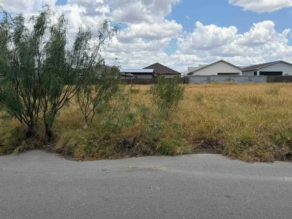 1419 El Zarape Ln, Laredo, TX 78043