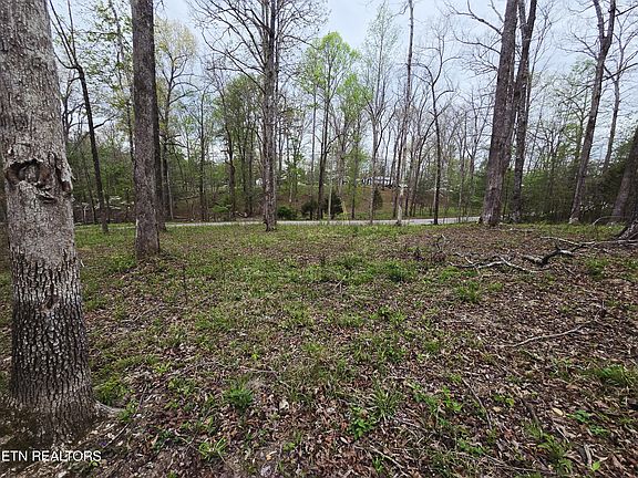 4th image of 0 Scott Fentress Co Line