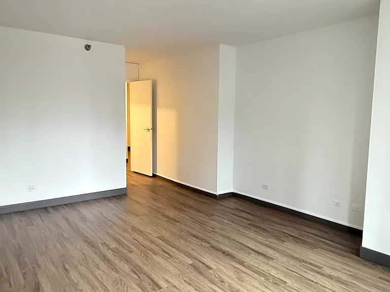 400 E Ohio St #2211 — Photo 10
