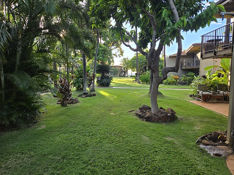 3559 Lower Honoapiilani Rd — Photo 21