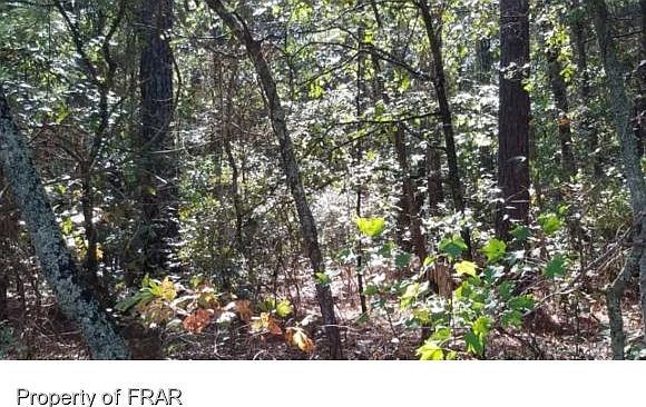 2nd image of 6812 S Nc 210 Hwy