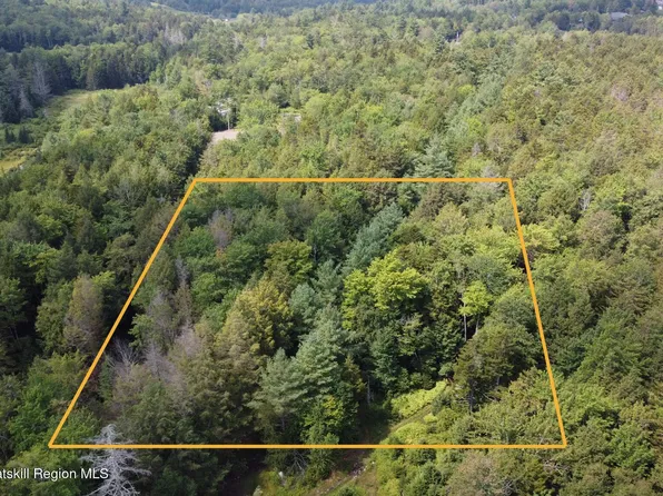 Tbd Stone St, Haines Falls, NY 12436