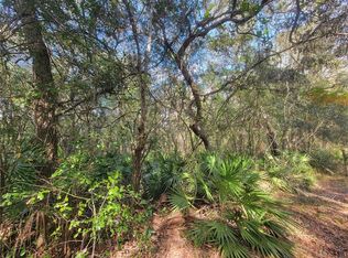 Watt St LOT 7, Webster, FL 33597