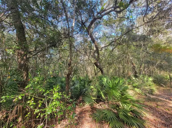 Watt St Lot 7, Webster, FL 33597