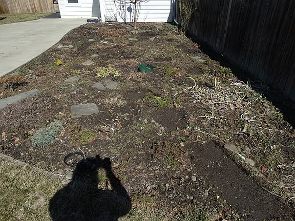 2nd image of 203 E 8th St