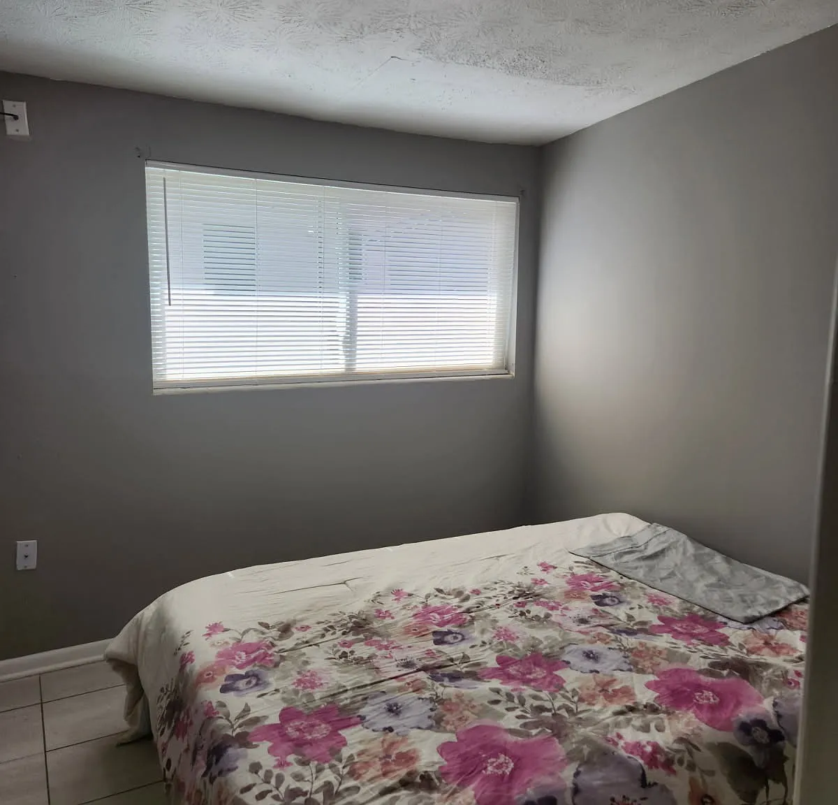 1 bed, $850 — Photo 2