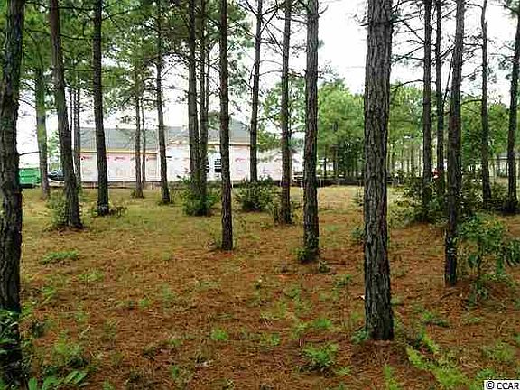 3rd image of Lot 50 Brighton Lakes #618 Uniola Drive