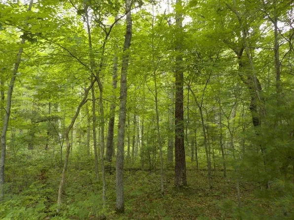 Lot 17 Jamesway Road, Siren, WI 54872
