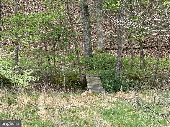 5th image of LOT 32 Moose Hollow Rd