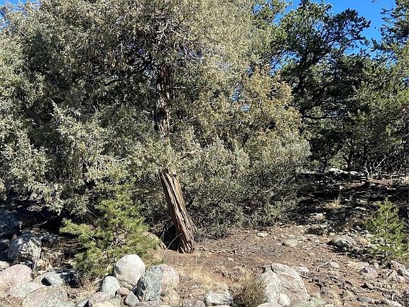 3rd image of 3729 Enchanted Way