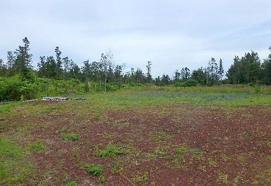 4th image of 16-1717 Road 2 Lot 2871