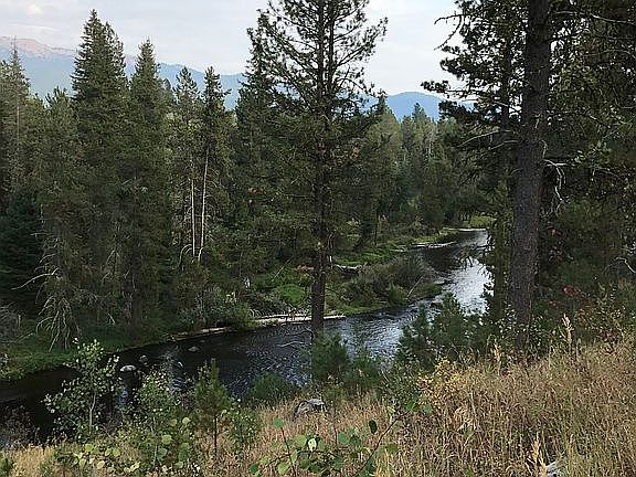 view from yard to SE