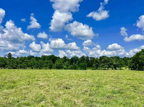 2 Carrier Rd, Pine Grove, LA 70453