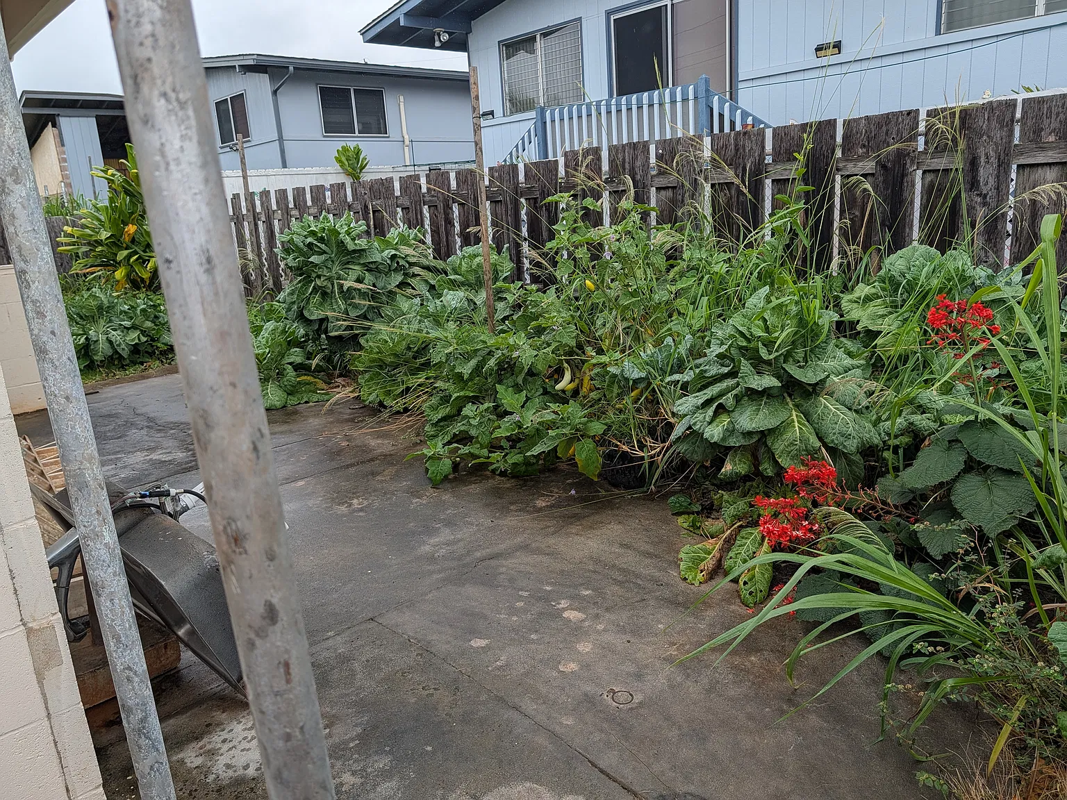 3 bed, 1128 sqft, $3,800 — Photo 3