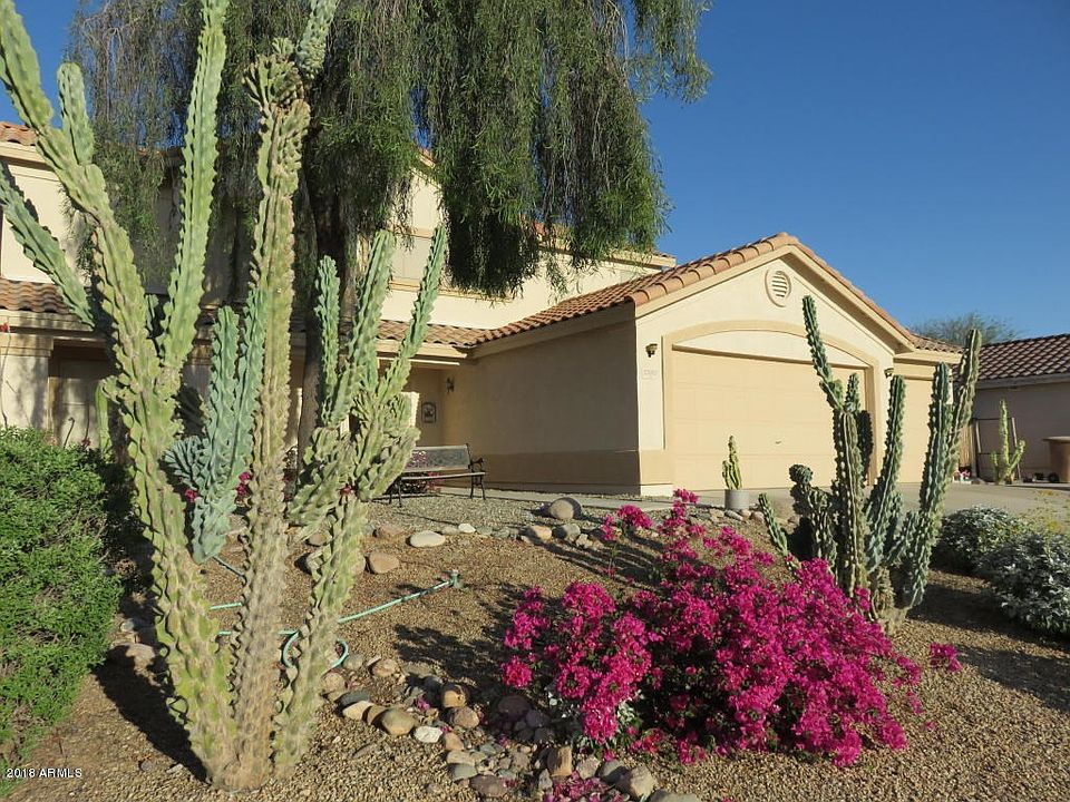 Cactus front pic
