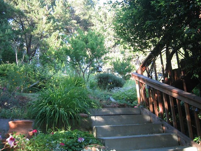 stairs leading to garden