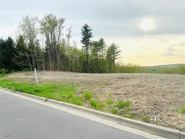 1005 Gabriella Ave, Endicott, NY 13760