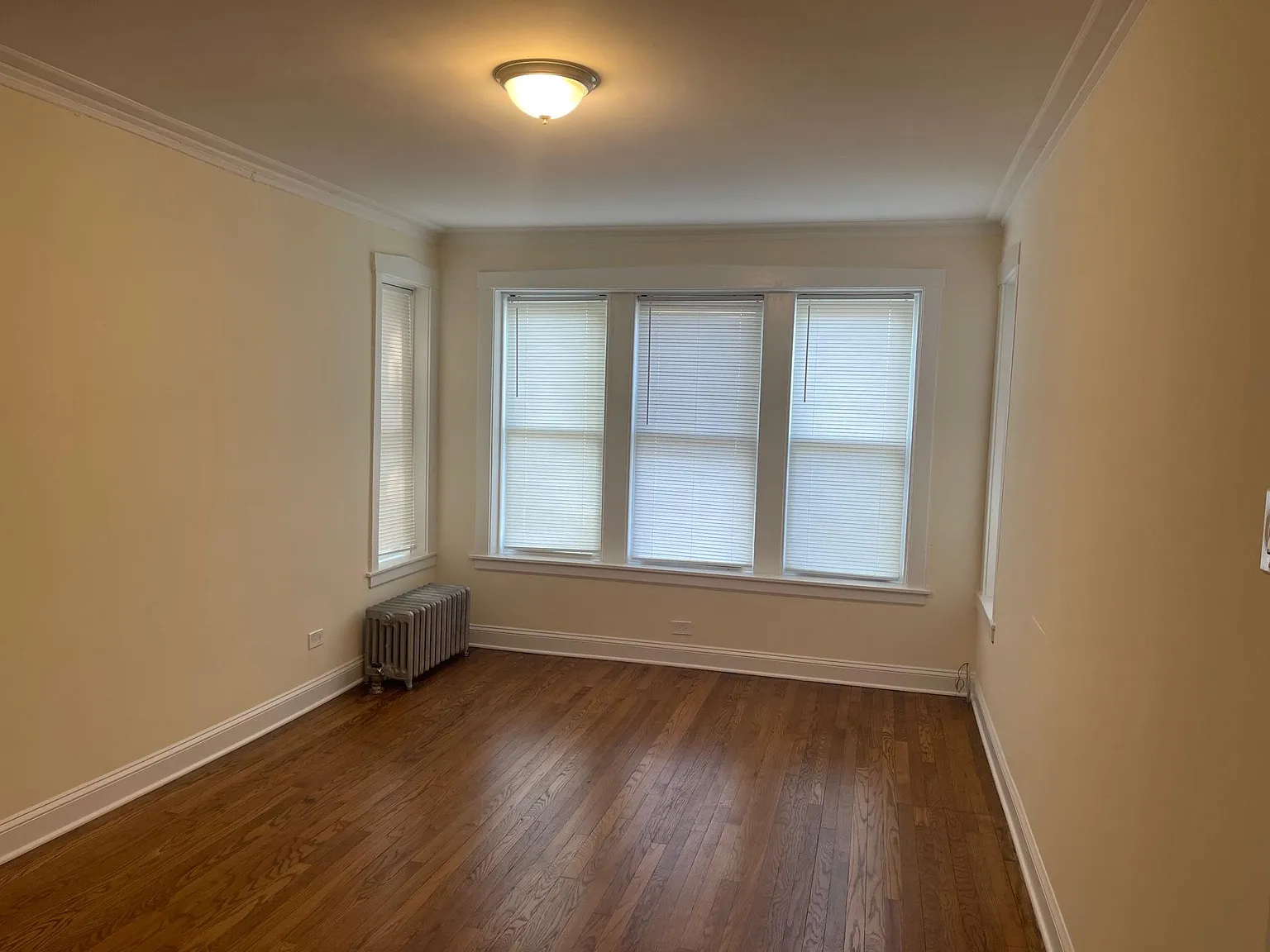 1 bed, $1,450 — Photo 4