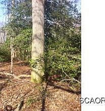 2nd image of 19357 Walker Rd