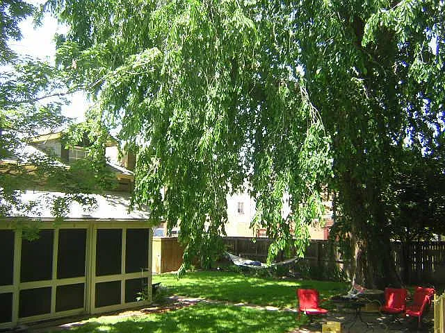 245 N Sherman St #B — Photo 2