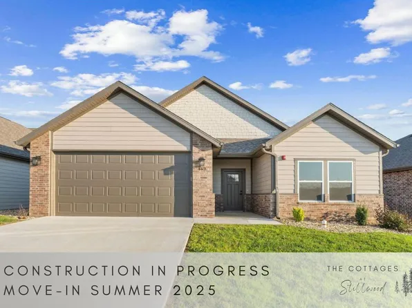 391 Stillwood Drive, Branson, MO 65616