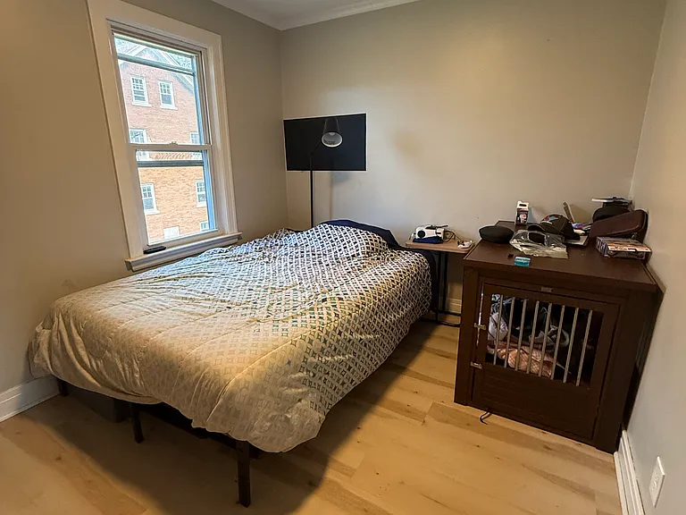 231 Morgan St #4 — Photo 10