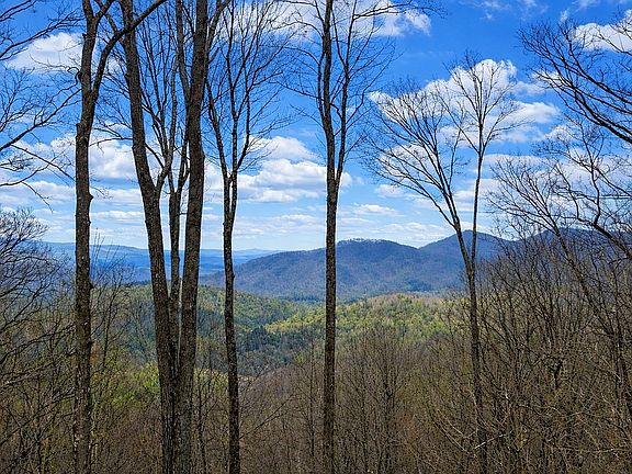 2nd image of 217 Walnut Rdg