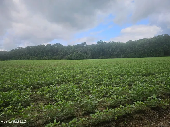 Banks Rd, Canton, MS 39046