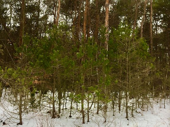 4th image of 0 Serenity Pines Dr Lot 4