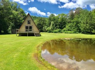 3226 Launt Hollow Rd, Hamden, NY 13782