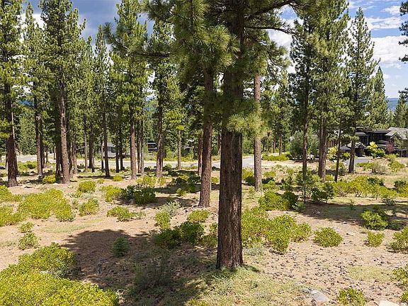5th image of 9517 Dunsmuir Way