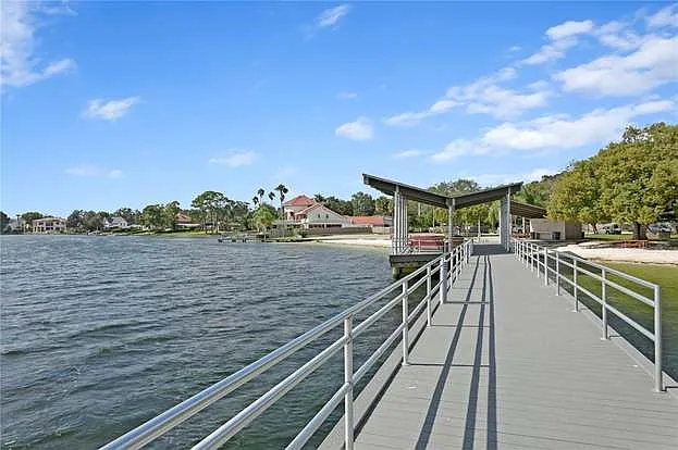 11212 Carrollwood Dr — Photo 70