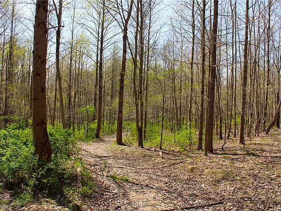 5th image of 68 Township Rd