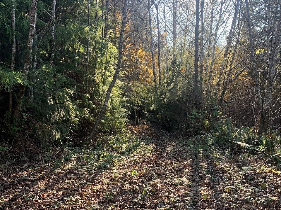 3 Tract Parpala Road, Naselle, WA 98638 MLS NWM2014436 Zillow