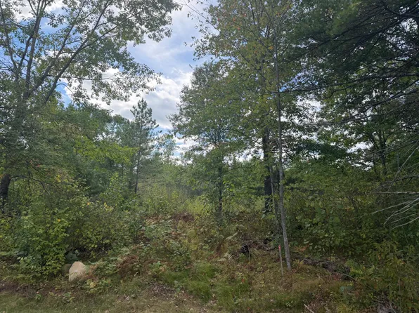 9 Cator Dr, Minocqua, WI 54548
