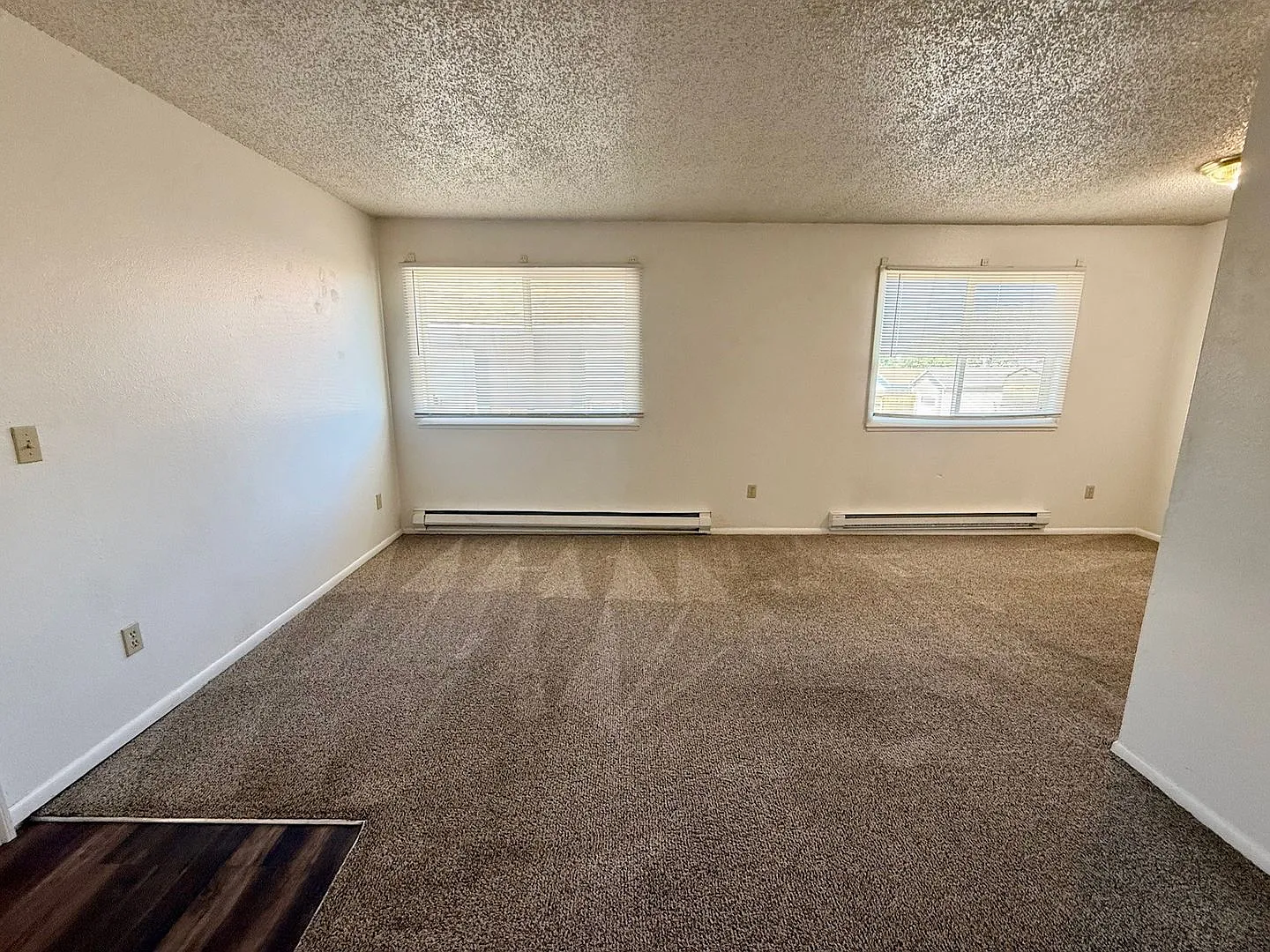 1039 S. Chestnut — Photo 3