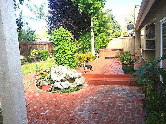 back yard