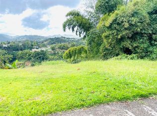 Carr 155 Km 30.9 Int Bo Gato, Orocovis, PR 00720