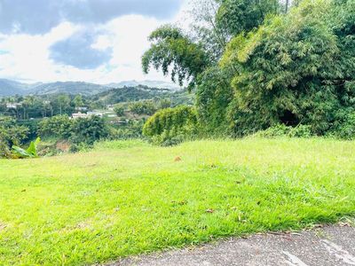 Carr 155 Km 30.9 Int Bo Gato, Orocovis, PR, 00720