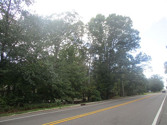 4th image of 301 New Leaf Ct